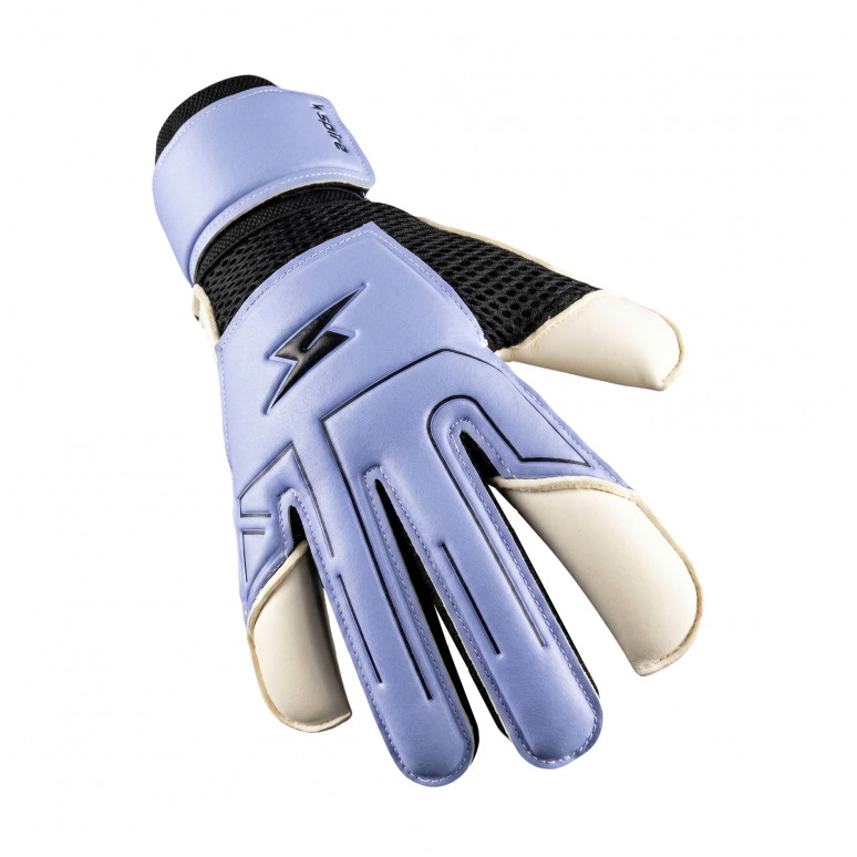 Вратарские перчатки Spire Inspire 35 (Blue/Black)